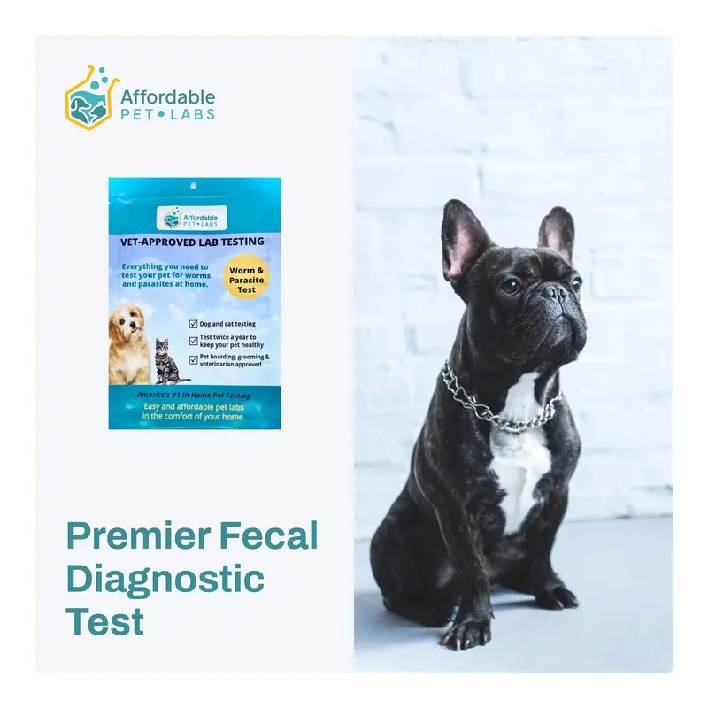 Affordable Pet Labs - Premier Fecal Diagnostic Test For Dogs, Easy Home Kit