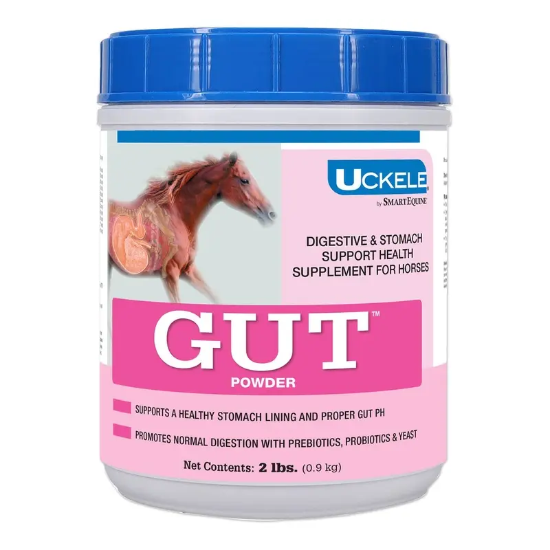 GUT, Digestive & Stomach Support Supplement for Horses, Powder