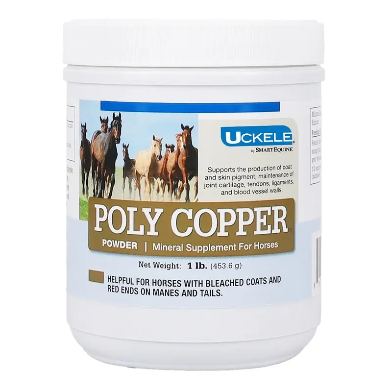 Poly Copper, Mineral Supplement for Horses, Powder