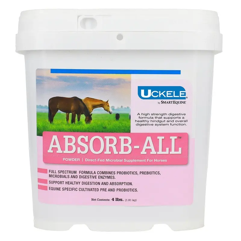 Absorb-All Digestive Supplement for Horses, Powder