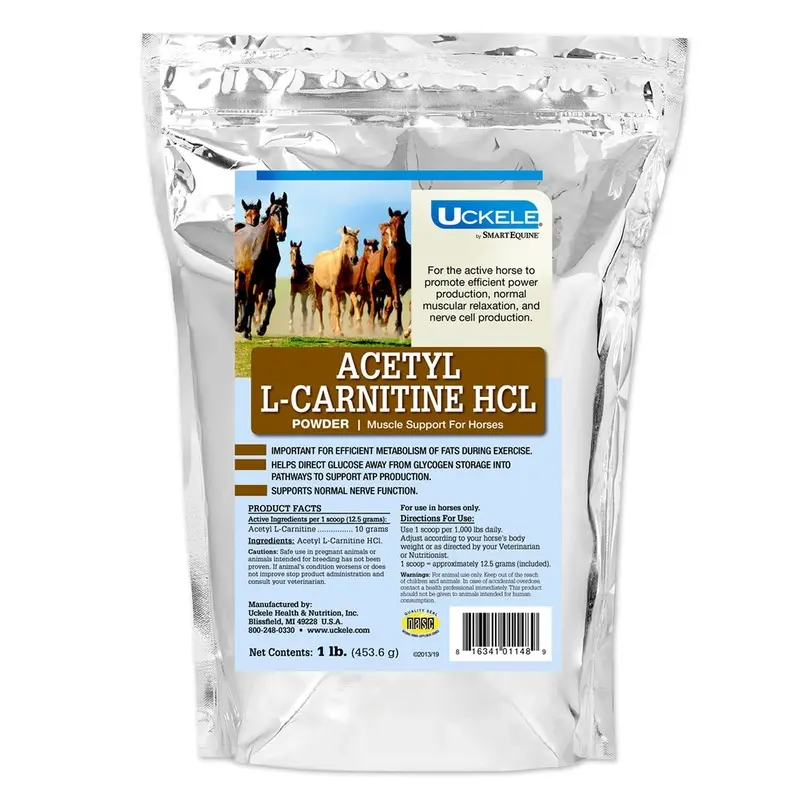 Acetyl L-Carnitine HCL Muscle Support for Horses, Powder