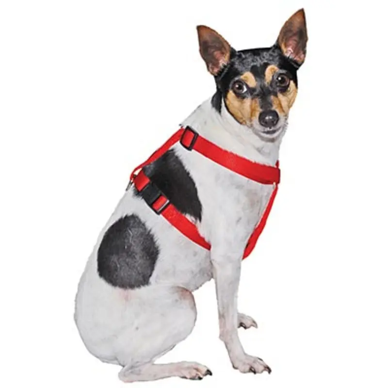 Jeffers Adjustable Nylon Dog Harness