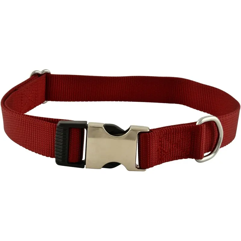 Jeffers Millennium Dog Collar