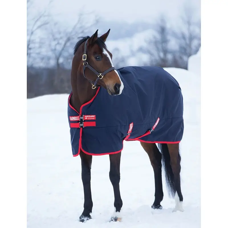 Rambo Original Medium Weight Horse Turnout Blanket