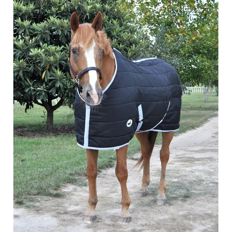 Jeffers Closed Front 240g Fill Stable Blanket for Horses