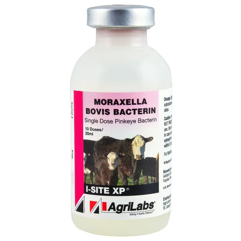 I-SITE XP Pinkeye Cattle Vaccine