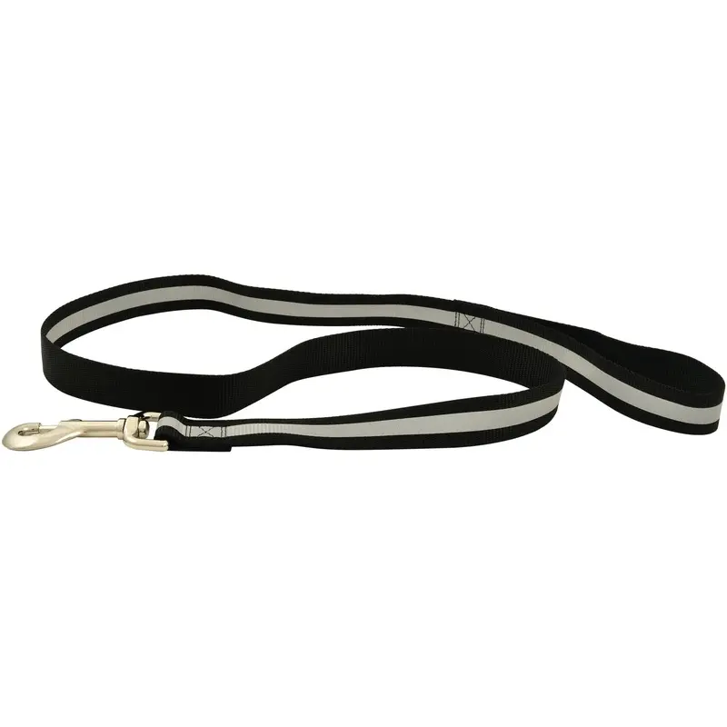 Jeffers Reflective Safety Stripe Nylon Dog Leash, 1" W x 4' L