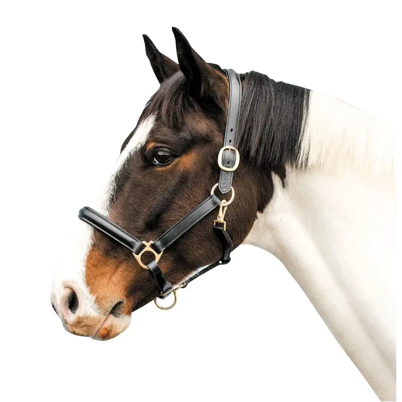 Loveson Leather Horse Halter