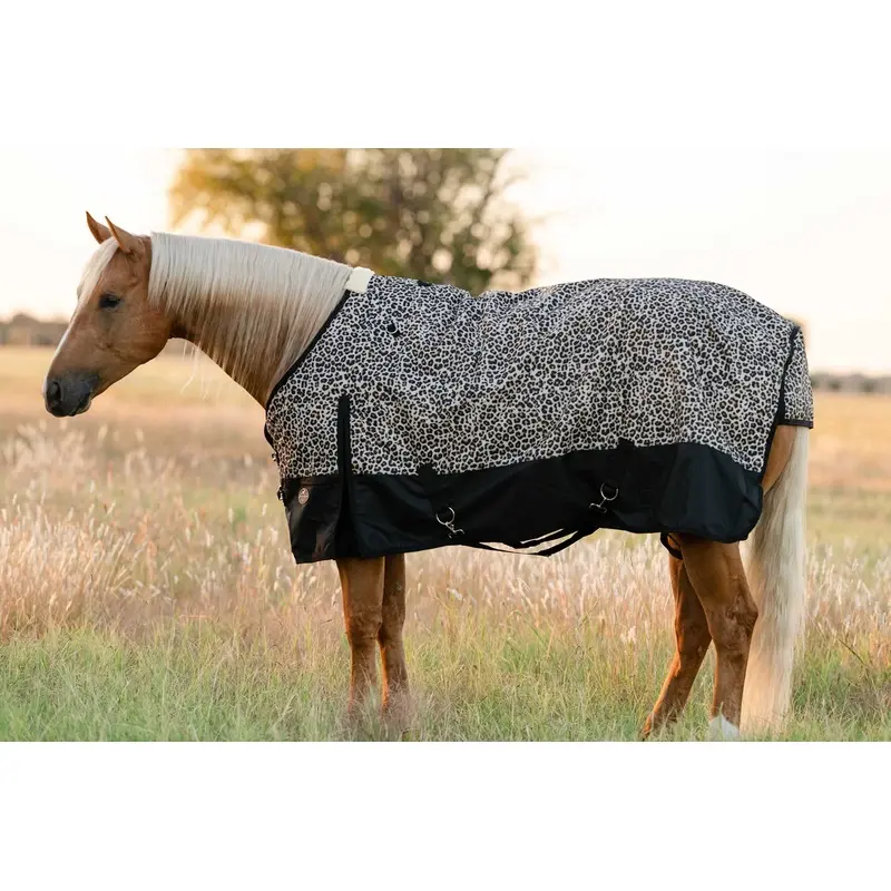 Equisential 600D Standard Neck Medium Weight Blanket, Cheetah