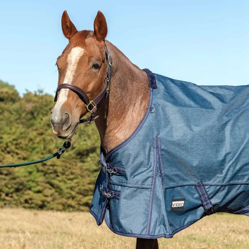 Jeffers Poplar Head Origin 600 Denier Turnout Sheet, 0 Gram, Blue Jean Baby