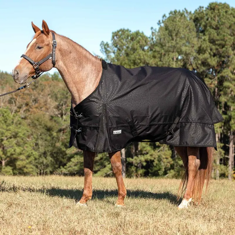 Jeffers Poplar Head Origin 600 Denier Turnout Sheet, 0 Gram, Covert Cheetah