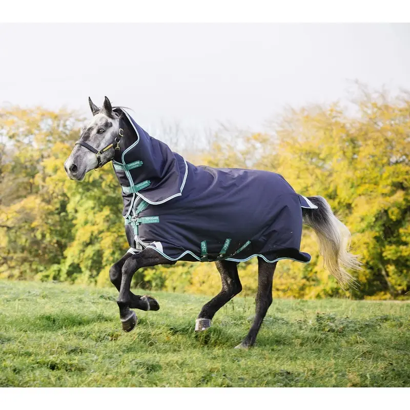 Amigo Bravo 12 Plus Horse Turnout Blanket with 250 gram fill, Navy/Aqua