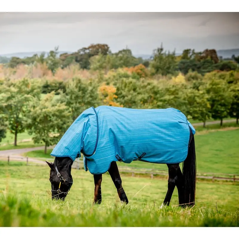 Amigo Hero 900 Revive Plus Medium Weight Horse Turnout Blanket