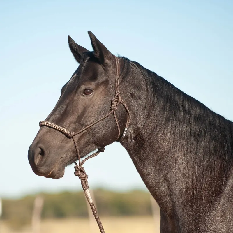 Classic Equine 3-Tone Rope Halter with 8' Lead Rope