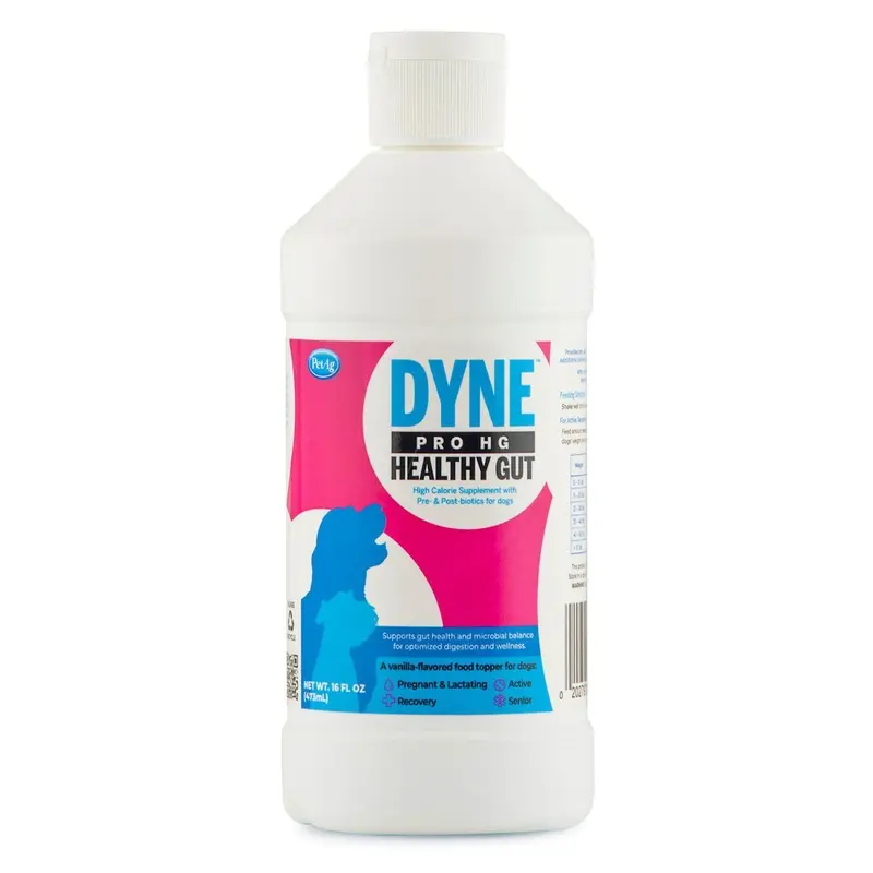 Dyne PRO HG Healthy Gut for Dogs
