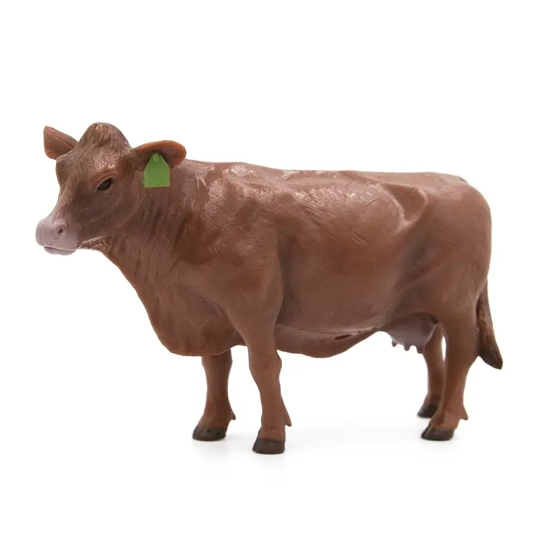 Little Buster Angus Cow
