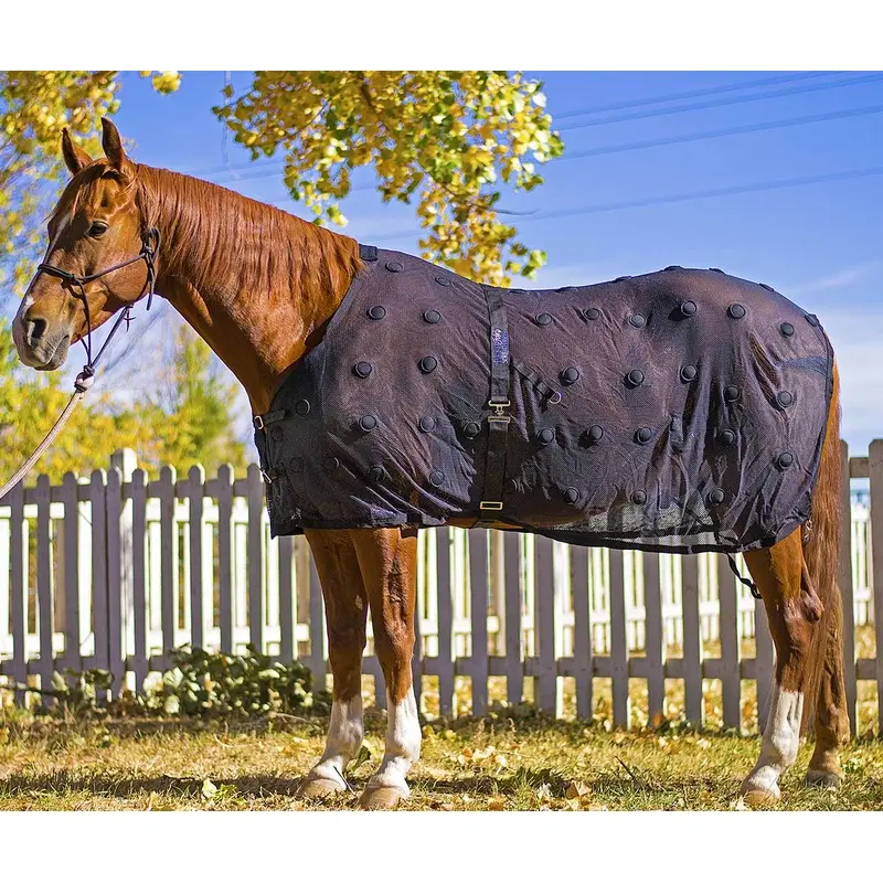 BeneFab Rejuvenate Magnetic Horse Therapy SmartScrim, Black