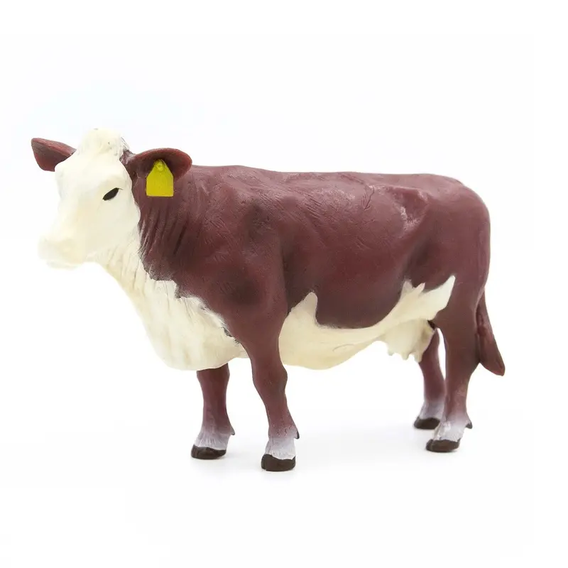 Little Buster Hereford Cow