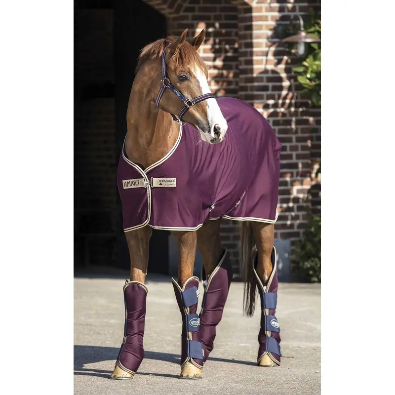 Amigo Jersey Horse Cooler, Fig with Navy & Tan Trim