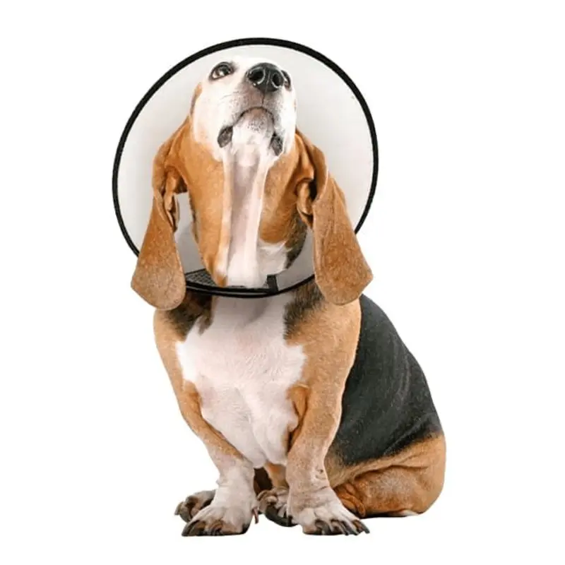 Vet Worthy Protective Cone Collar