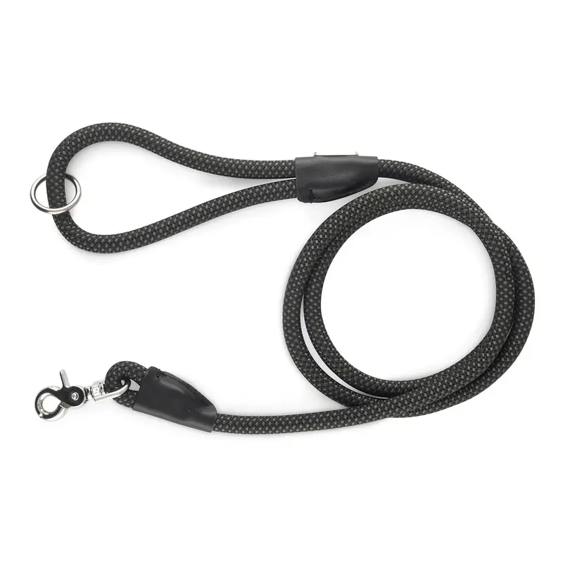 Mod Essentials Leash, 5 ft