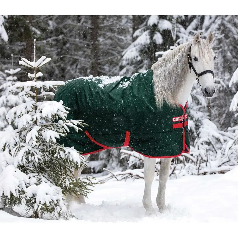 Rambo Original Horse Blanket, 400g Heavy, Green/Red