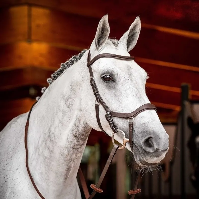 Rambo 2.0 Micklem Competition Bridle, Havana