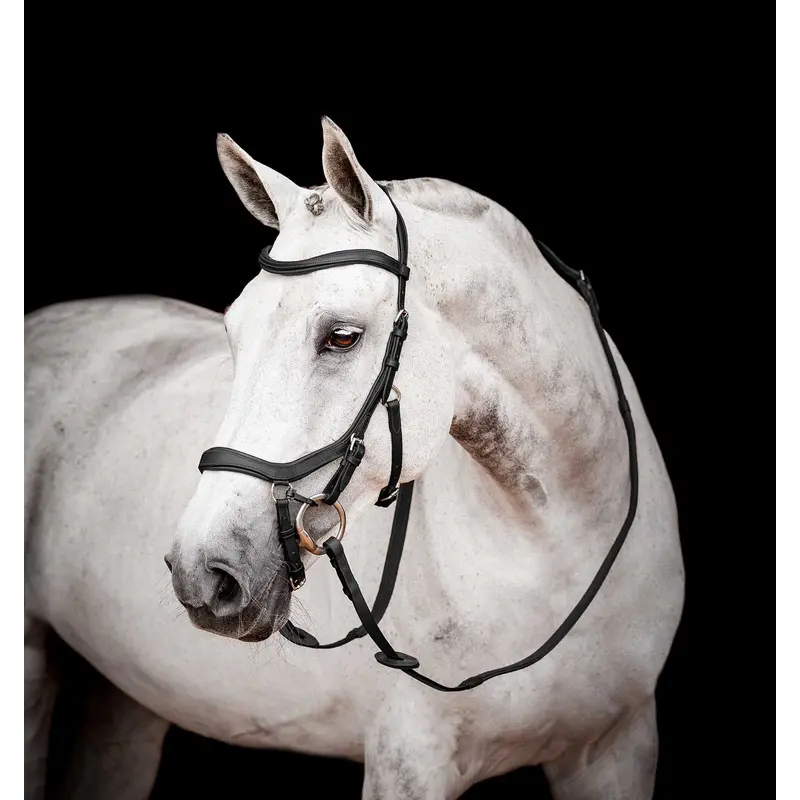 Micklem 2.0 Competition Bridle, Black