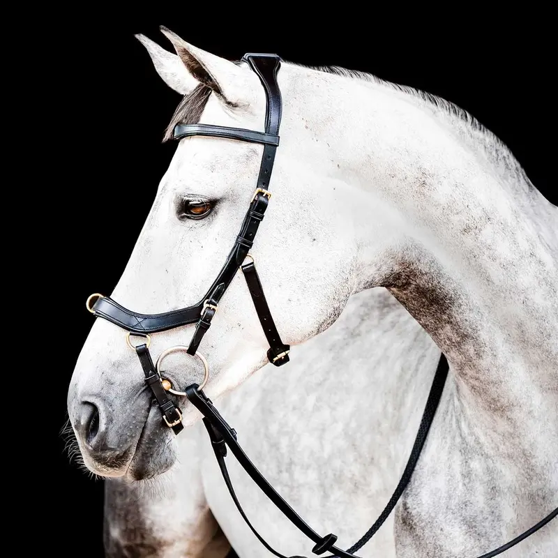 Micklem 2.0 Multi Bridle, Black