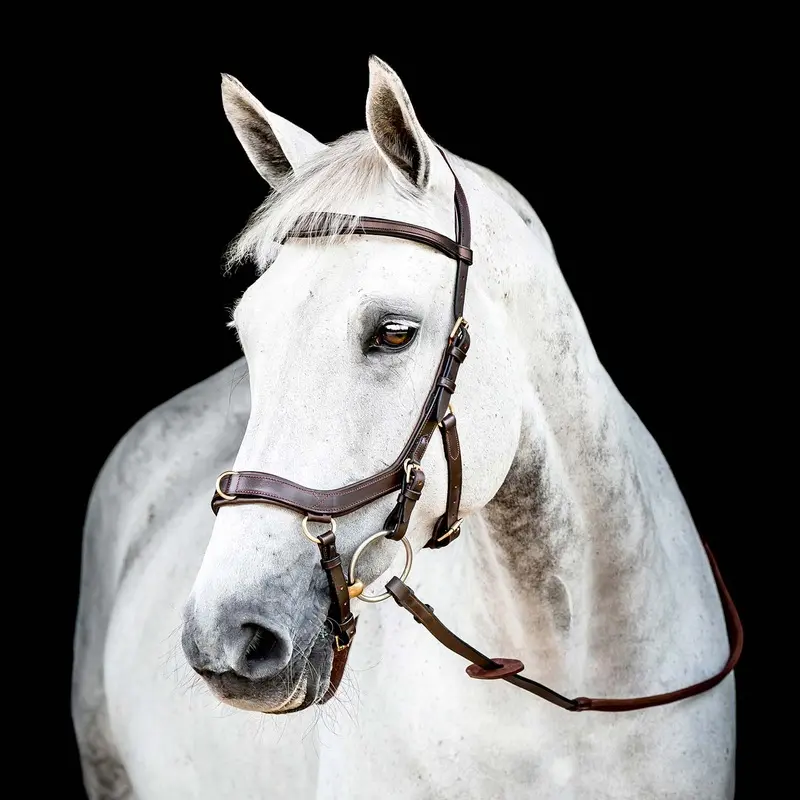 Micklem 2.0 Multi Bridle, Havana