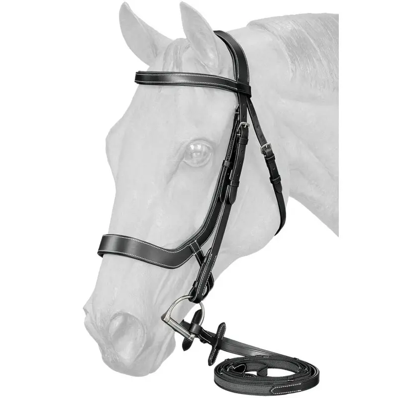 Equitare Cadence Ergonomic Bridle