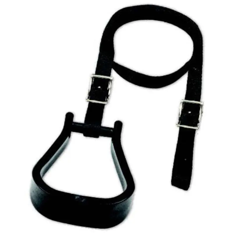 Mustang's Mounting Stirrup