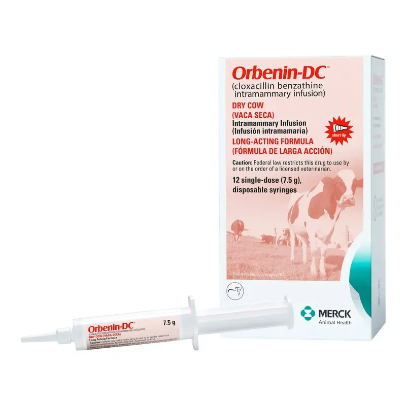 Rx Orbenin-DC (cloxacillin benzathine intramammary infusion) Dry Cow Formula, 12 Doses