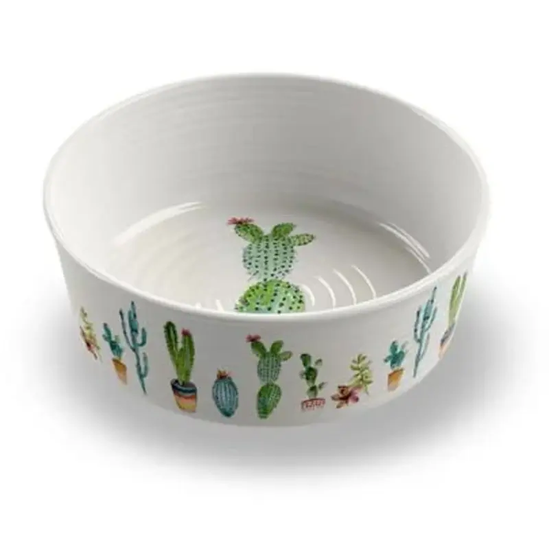 Cactus Pet Bowl