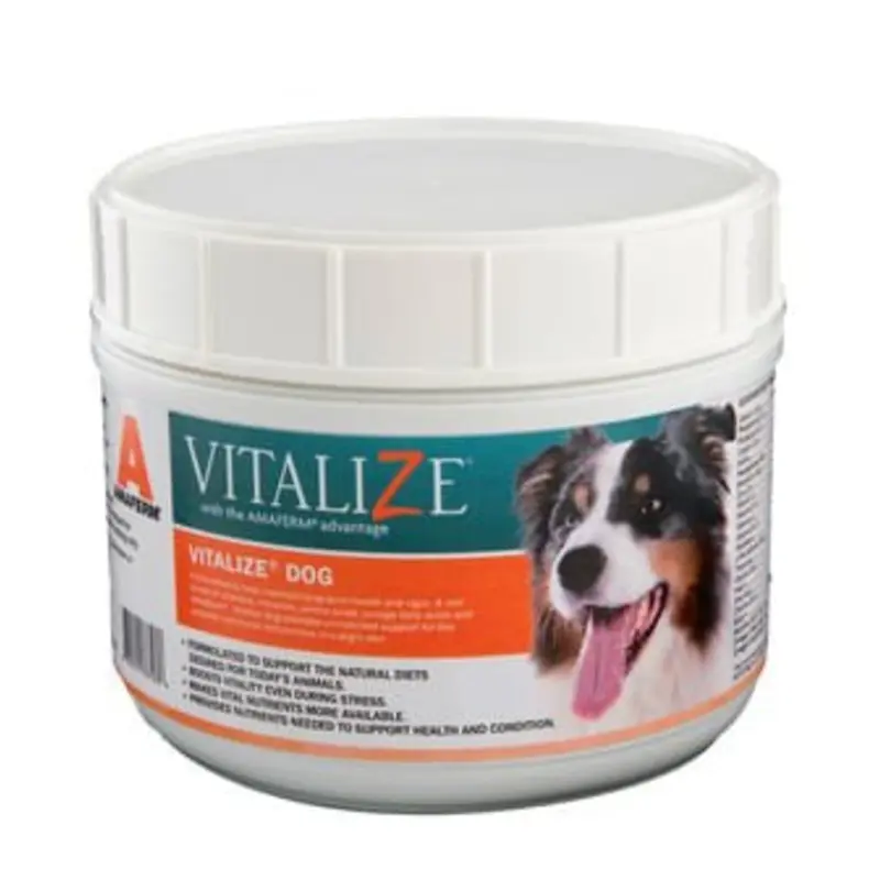 Vitalize Dog, 1 lb