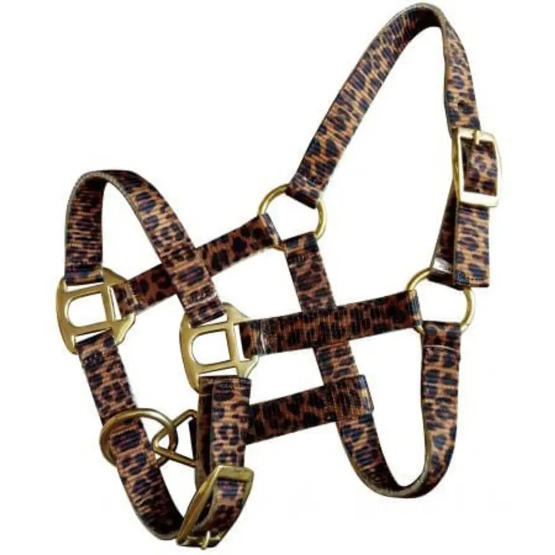 Showman Mini Halter in Patterns