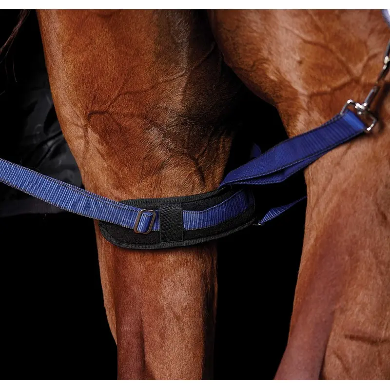 WeatherBeeta Padded Hind Leg Straps, Pair