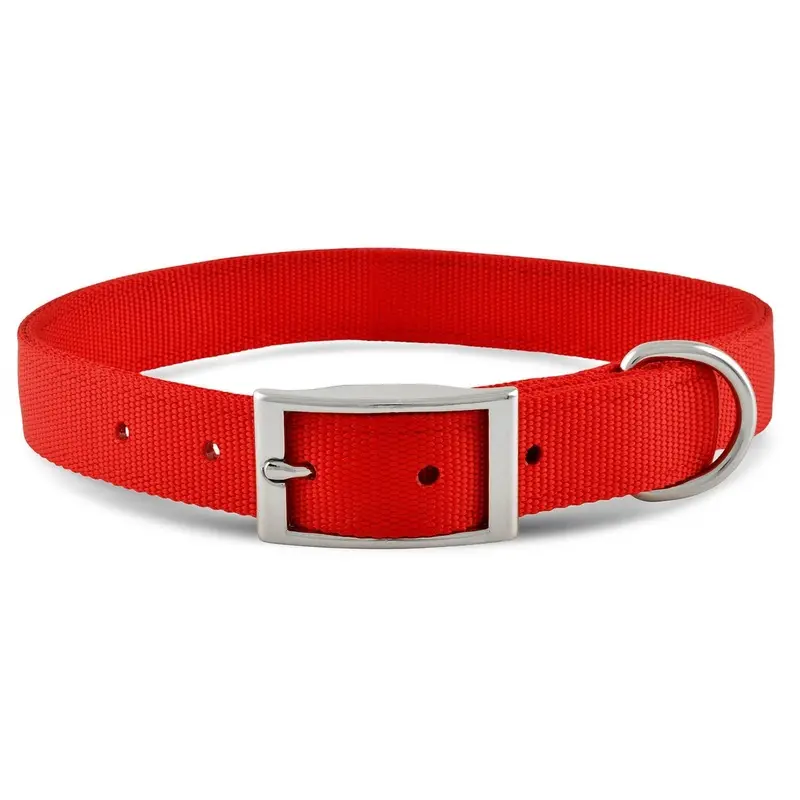 Jeffers Solid Web Nylon Dog Collar