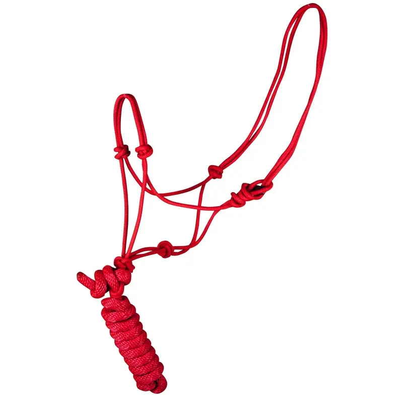Jeffers Poly Braided Rope Horse Halter with Lead