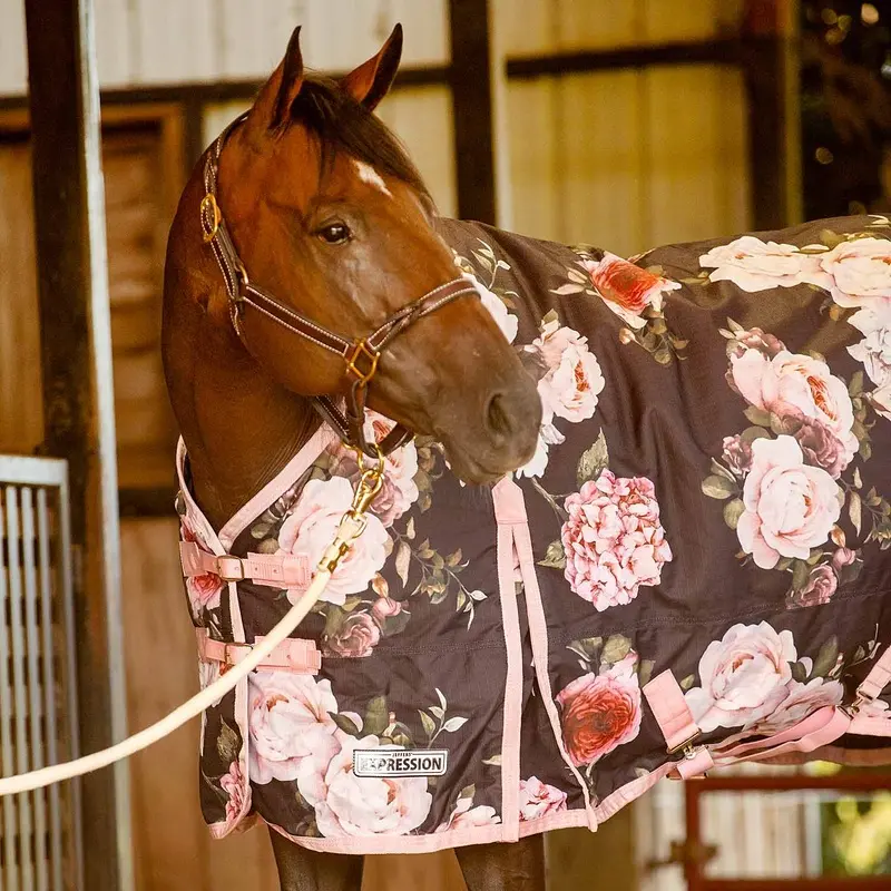 Jeffers Expression 1200 Denier Standard Neck Turnout Horse Blanket, 240 Gram