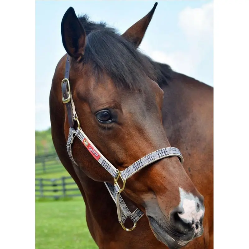 5/A Baker Plaid Breakaway Halter