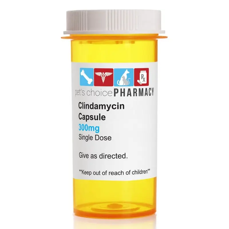 Rx Clindamycin HCl (Generic) Capsules for Dogs