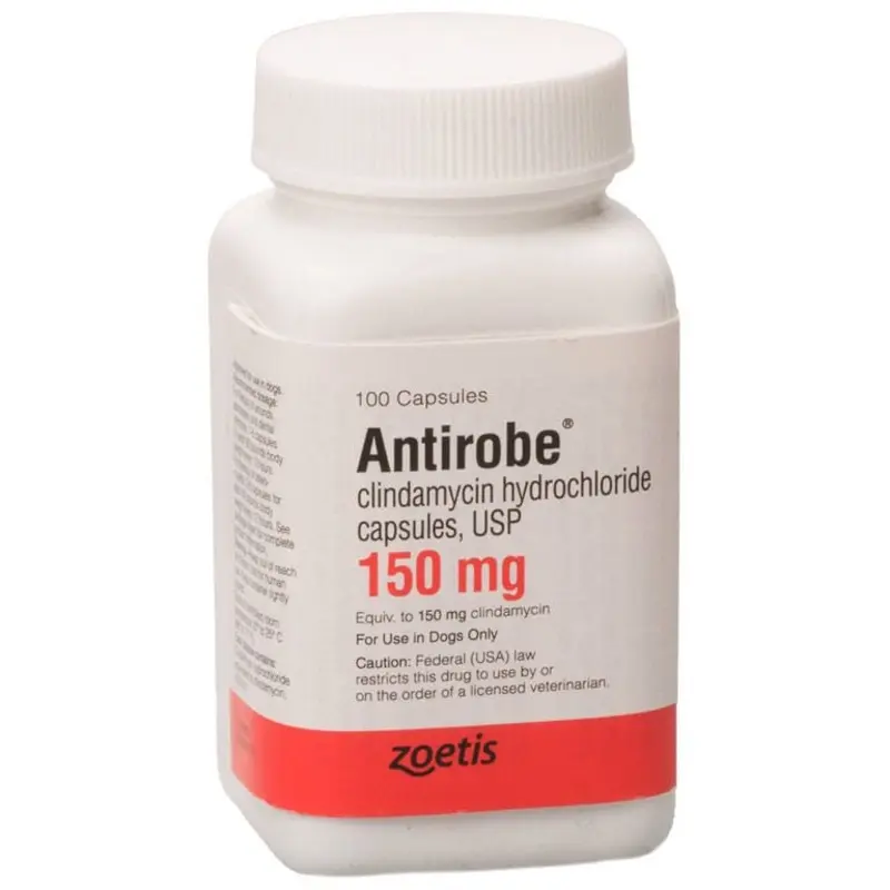 Rx Antirobe (clindamycin hydrochloride) Capsules for Dogs