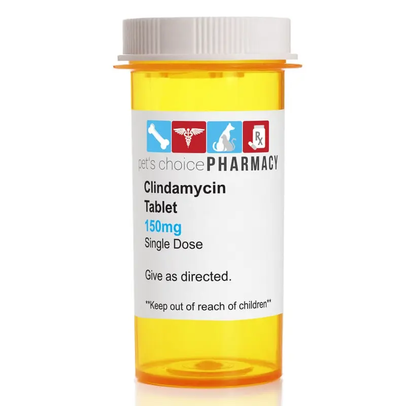 Rx Clindamycin (Generic) Tablets for Dogs