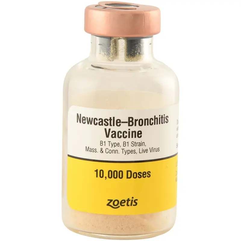 Newcastle-Bronchitis for Chickens