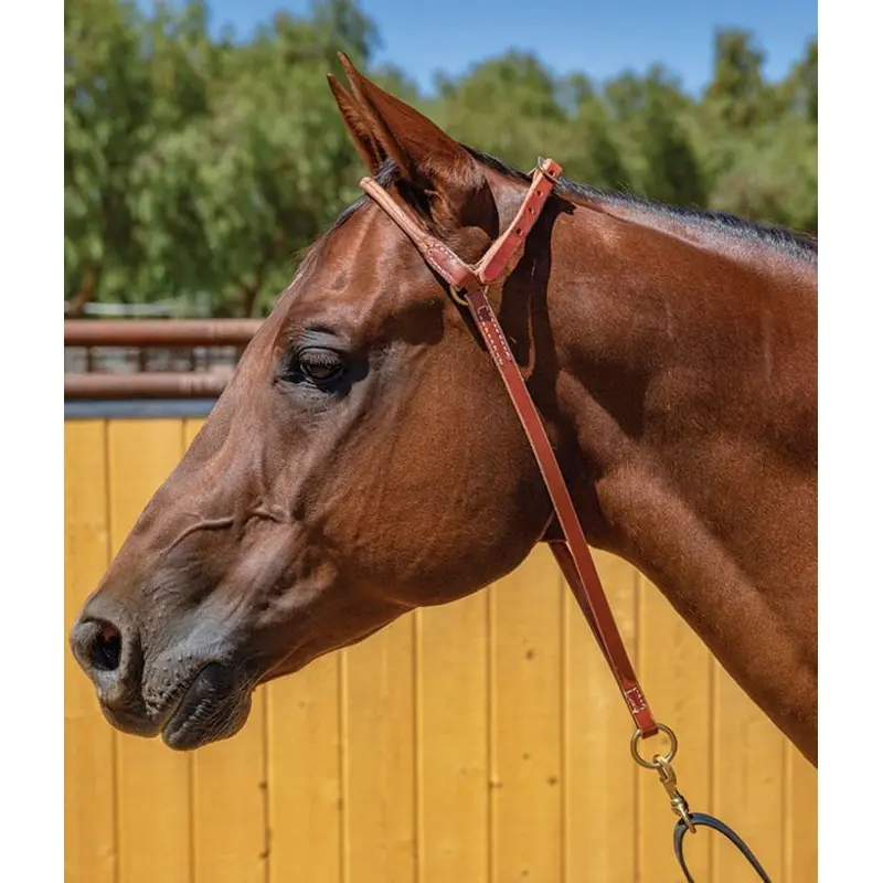 Professional's Choice Harness Leather War Bonnet