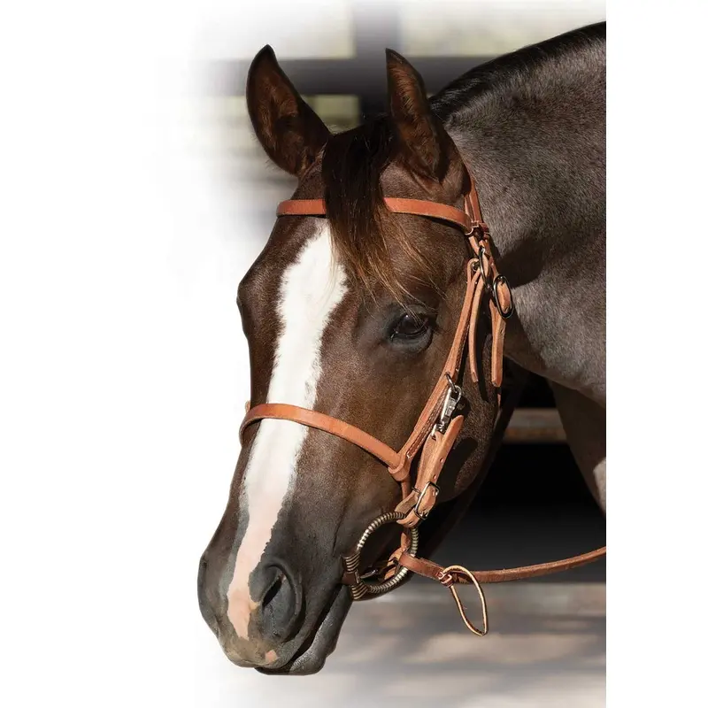 Professional's Choice Trail Bridle