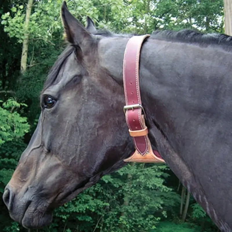 Dare Cribbing Control Collar, Brown