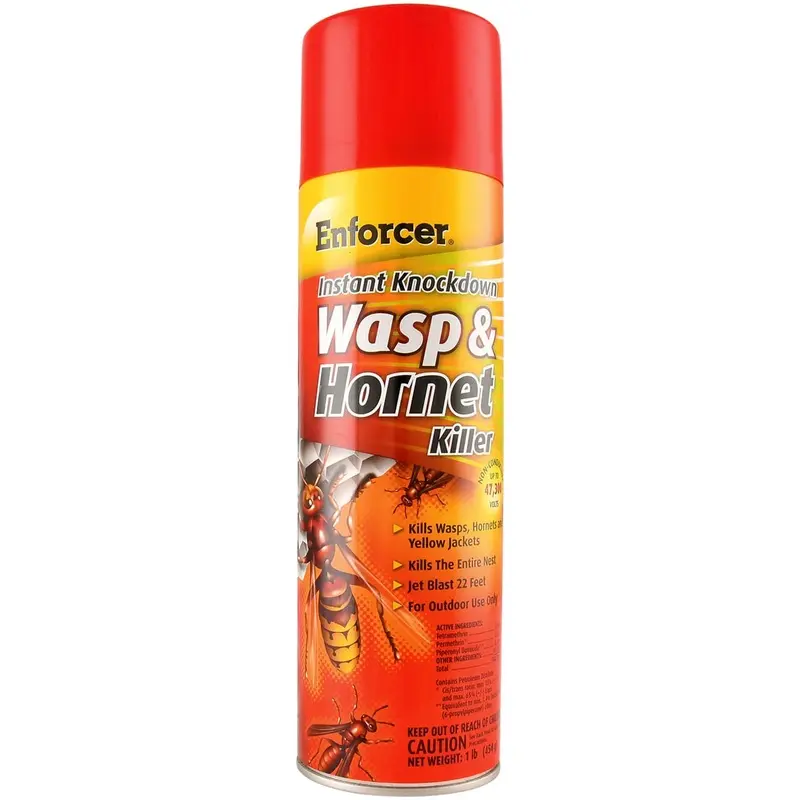 Instant Knockdown Wasp & Hornet Killer, 16 oz