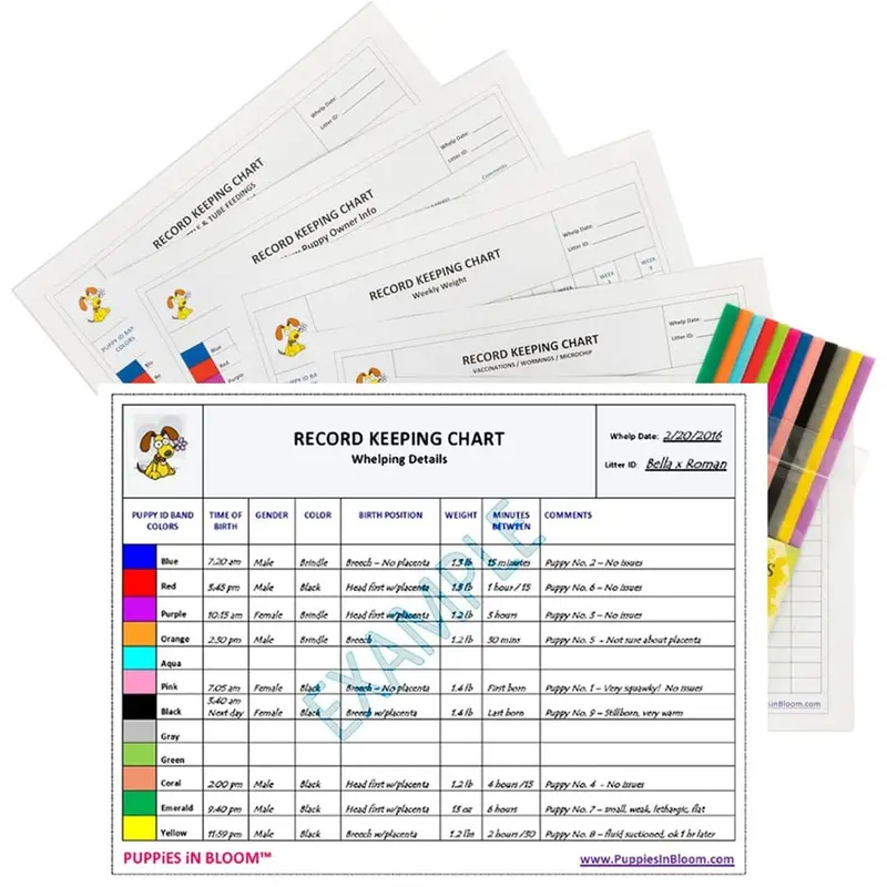Puppies in Bloom Breeder Record Keeping Charts